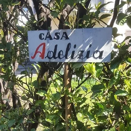 Casa Adelizia - Erdgeschoss Ascona