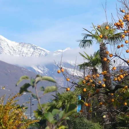 Casa Adelizia - Erdgeschoss Ascona